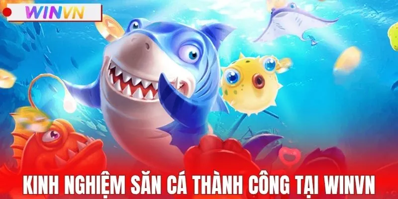 Bí kíp săn cá thành công của cao thủ lâu năm
