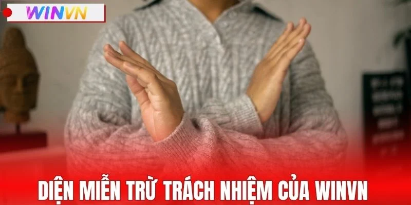 Diện miễn trừ trách nhiệm của WINVN