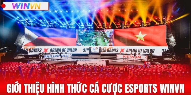 Giới thiệu về hình thức cá cược esports WINVN