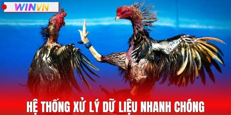 Hệ thống xử lý dữ liệu nhanh chóng