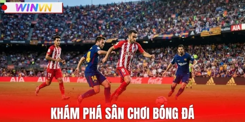 Khám phá sân chơi bóng đá