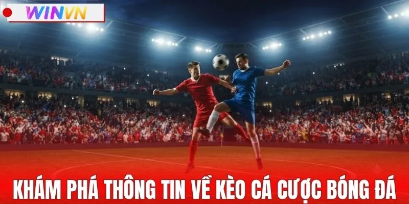 Khám phá thông tin về kèo cá cược bóng đá
