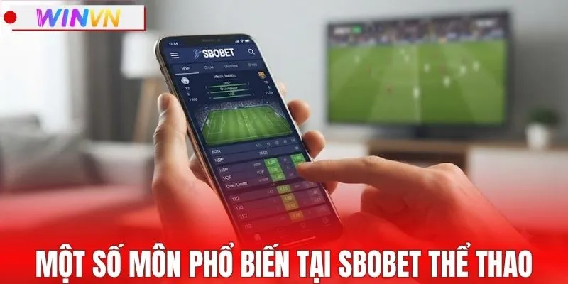 Một số môn phổ biến tại SBOBET thể thao