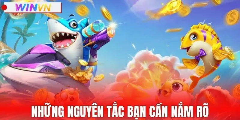 Những nguyên tắc bạn cần nắm rõ