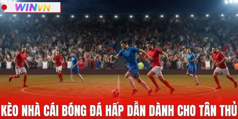 Tìm hiểu kèo nhà cái bóng đá hấp dẫn dành cho tân thủ