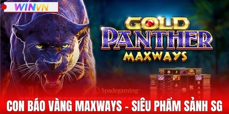 Trải nghiệm Con báo vàng Maxways từ sảnh SG