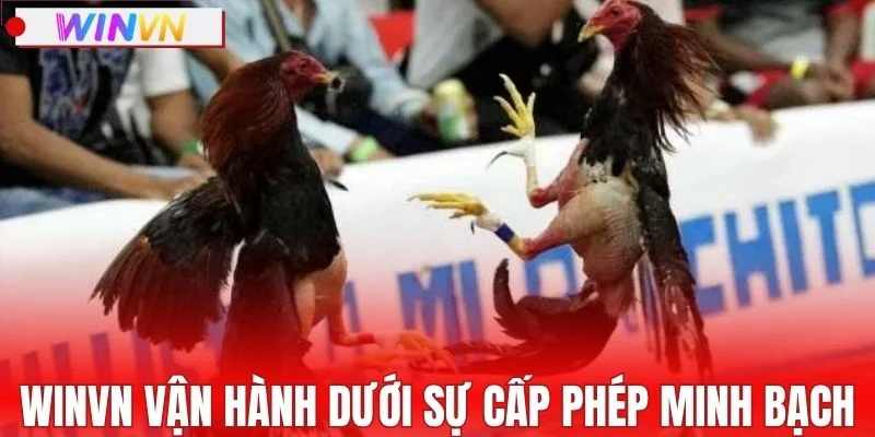 WINVN vận hành dưới sự cấp phép minh bạch